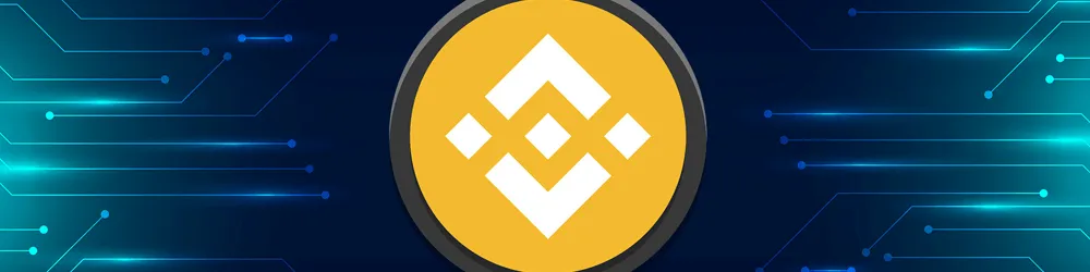 binance coin main