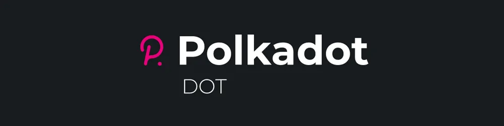 polkadot main