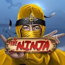the ninja slot icon