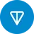 toncoin icon