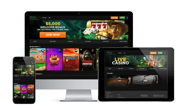 wildcasino ag website screens