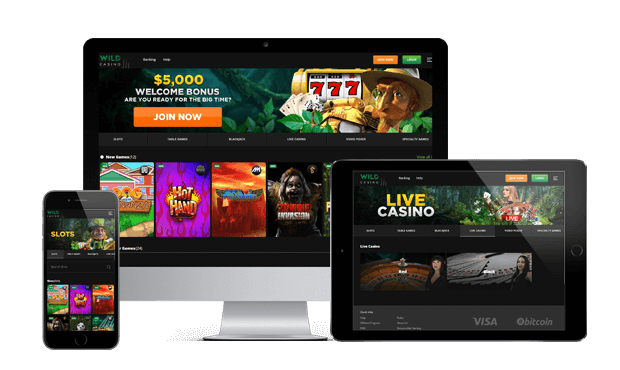 wildcasino.ag website screens