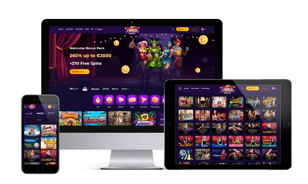 iwild casino website screens