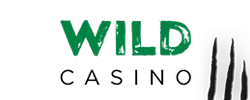 WildCasino.ag Logo